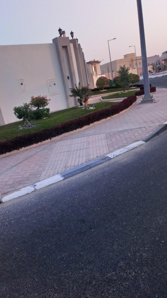 تصميم وتنسيق الحدائق - 1