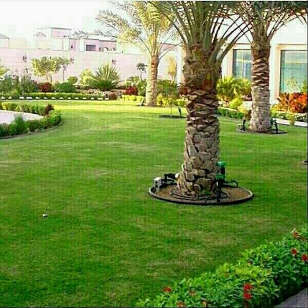 زراعة الحدائق والنخيل وشبكات الري - 1