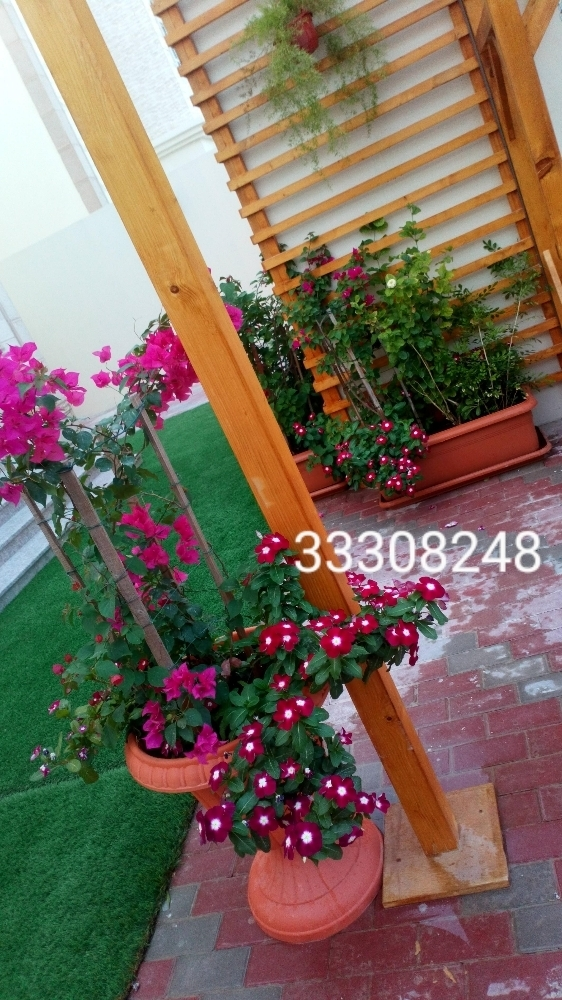 ورد وزراعة احواض وعمل الحدائق - 4