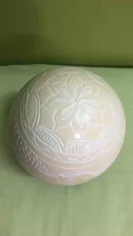 بيضة نعامة - 3