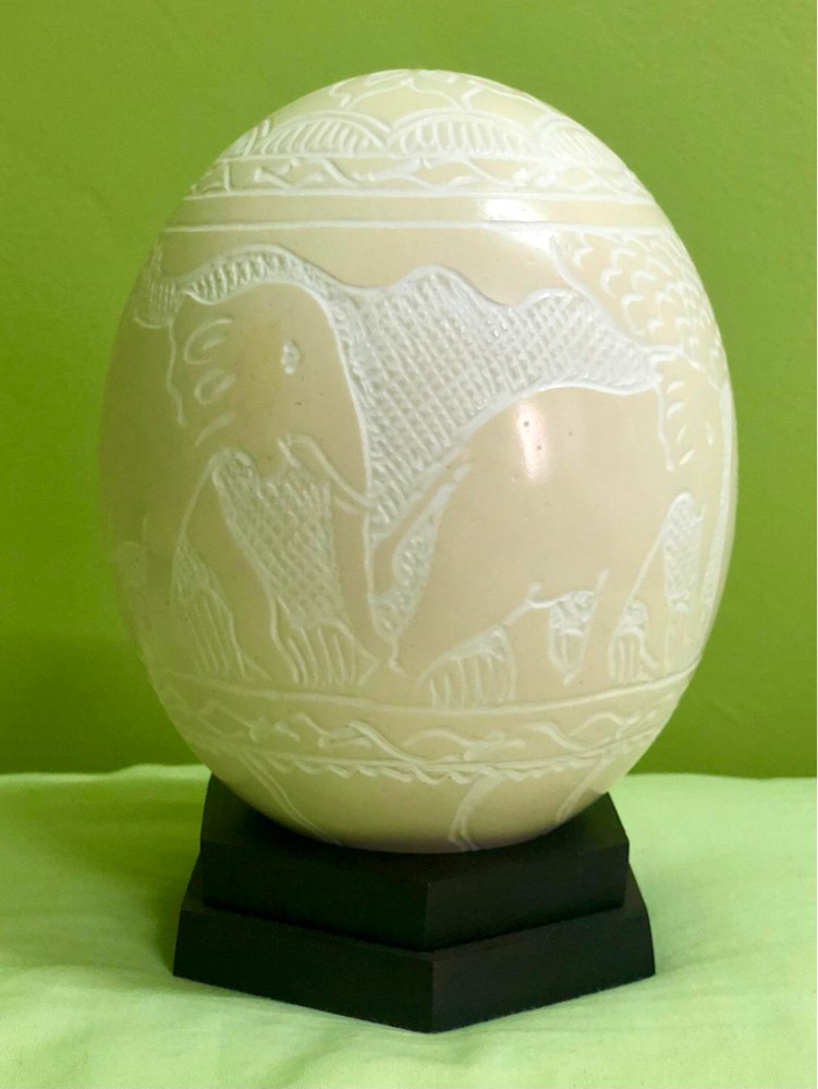 بيضة نعامة - 2