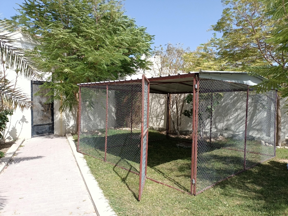 Pigeon cage - 2