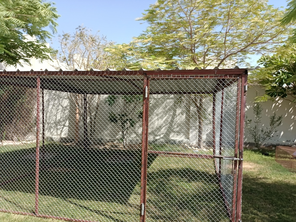 Pigeon cage - 5