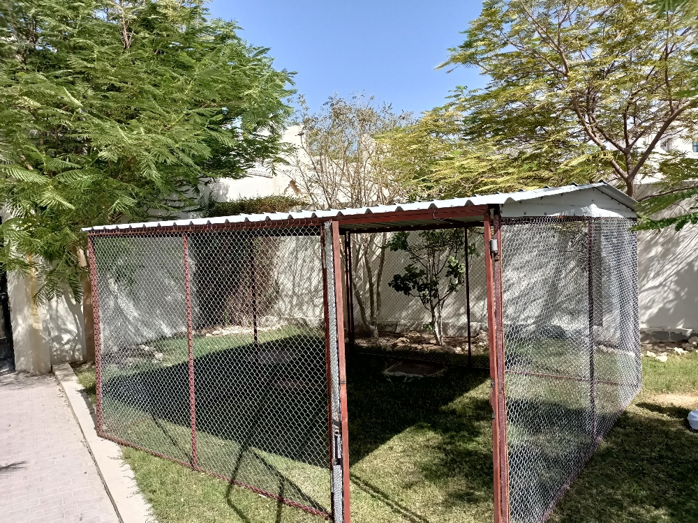 Pigeon cage - 3