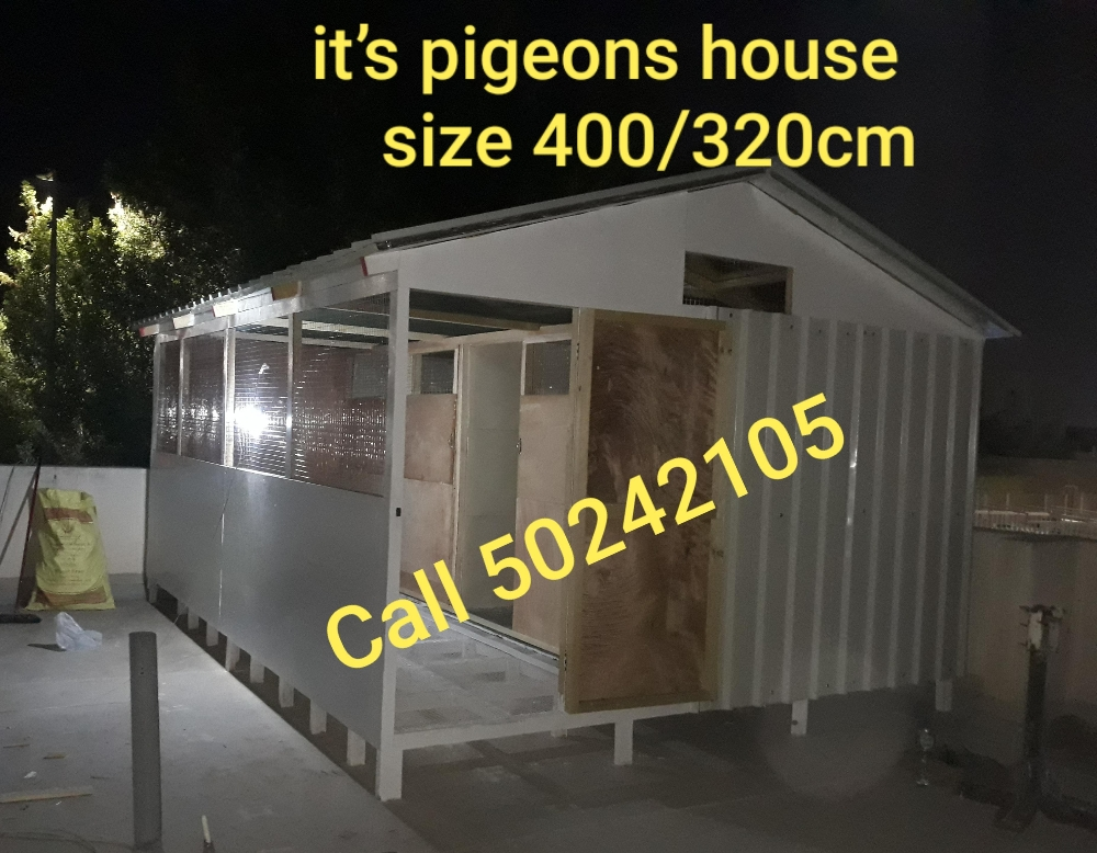 pigeons house - 1