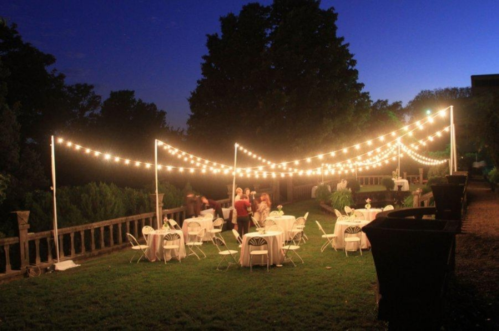 Occasion lights solution Qatar - 4