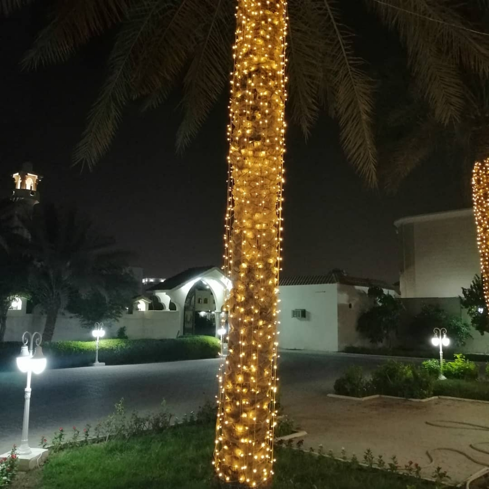 Occasion lights solution Qatar - 8