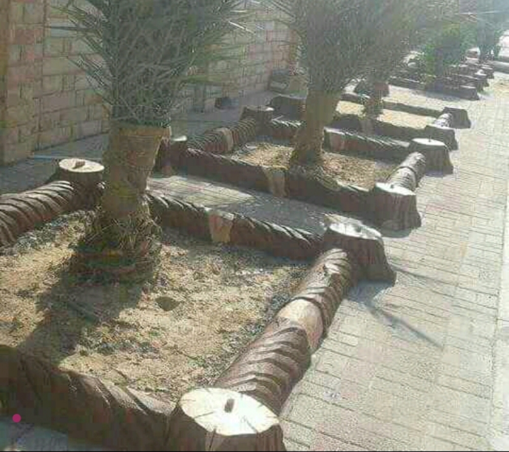 مصمم حدائق جميله 55079950 - 3