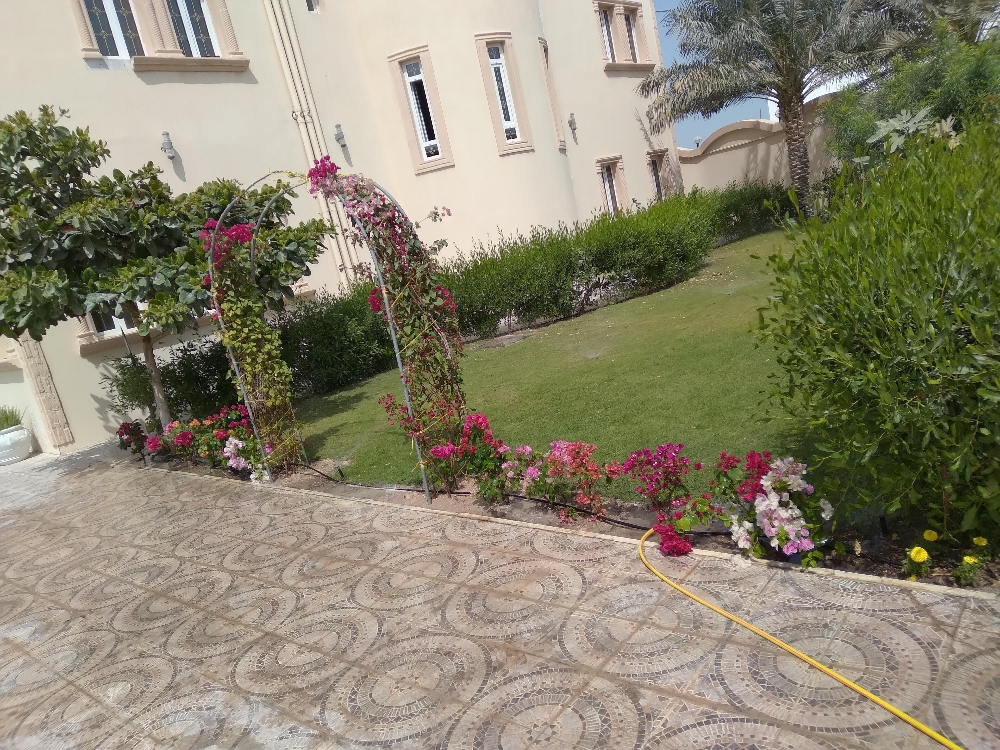 منسق ومصمم حدائق - 5