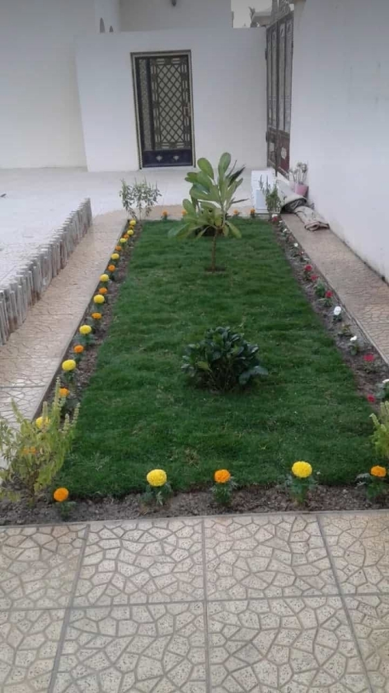 منسق ومصمم حدائق - 2