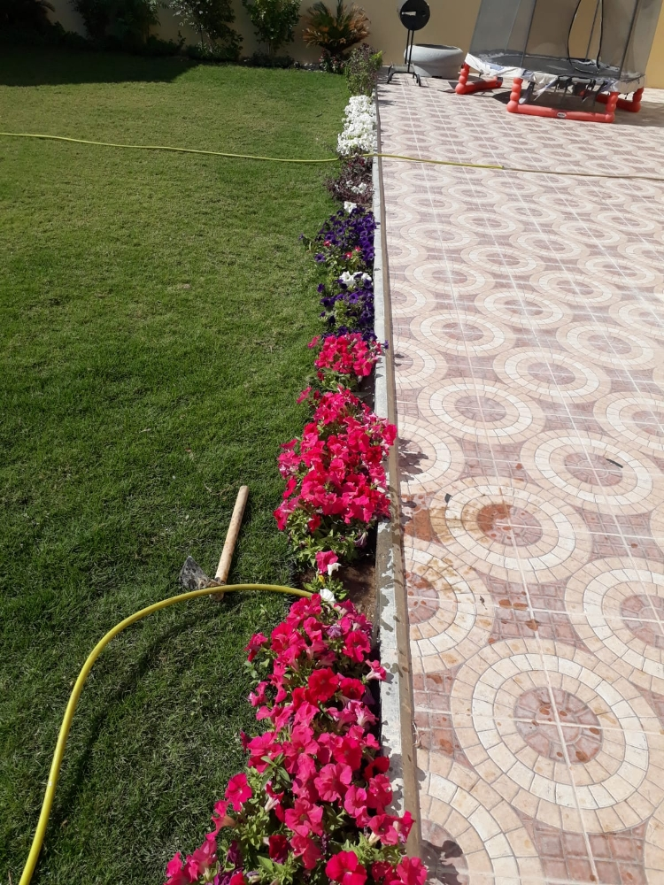 متخصص في الزراعه 55504810 - 5