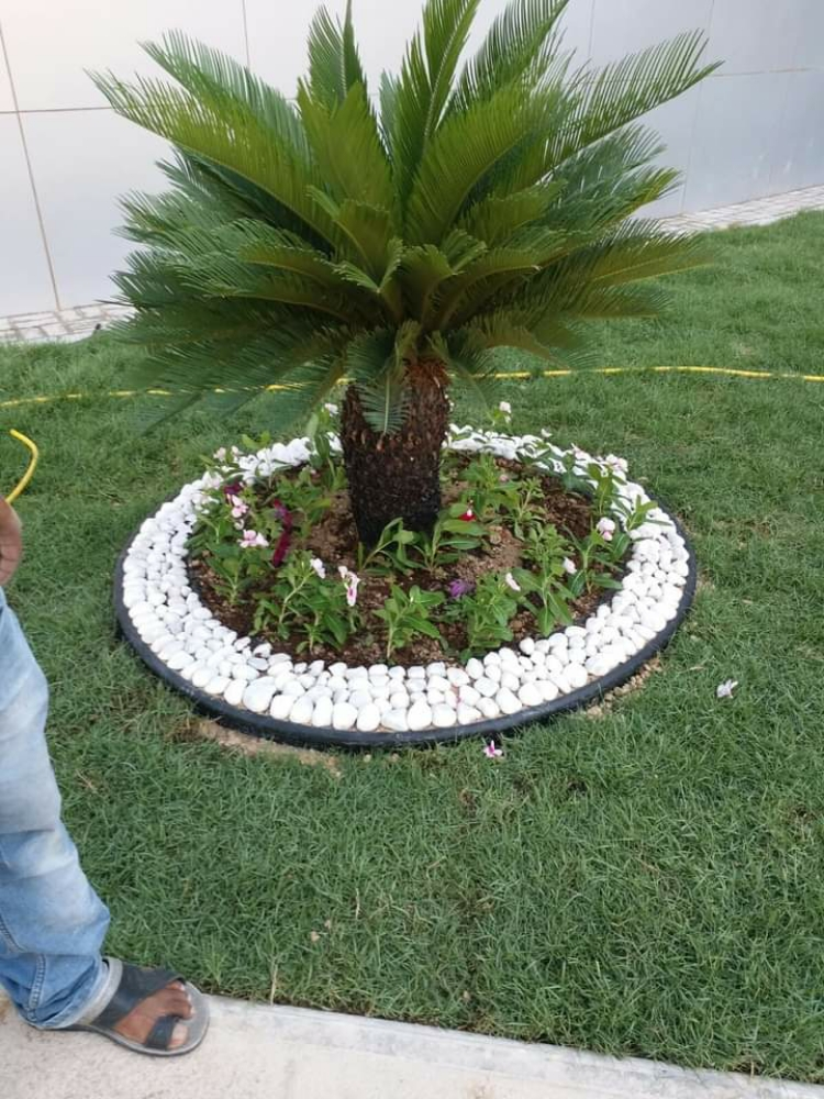 مزارع - 3