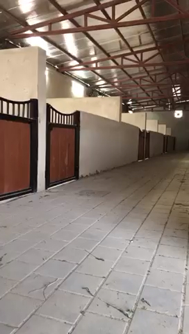 غرف إجار للخيل ايواء - 1