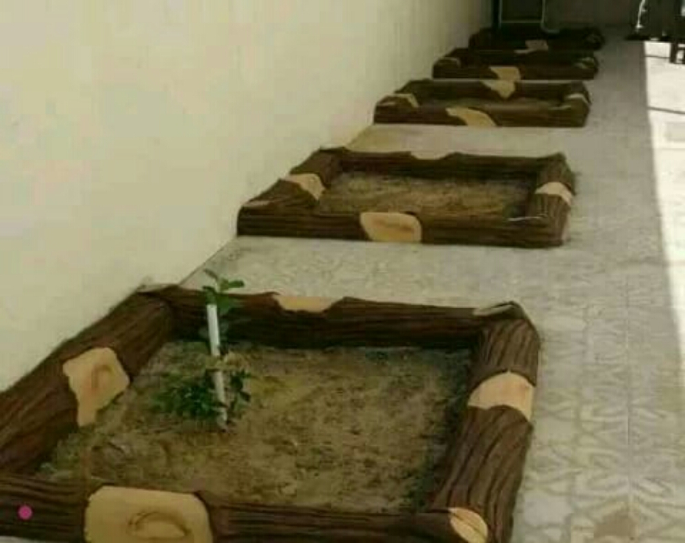 زراع العشب الأخضر - 3