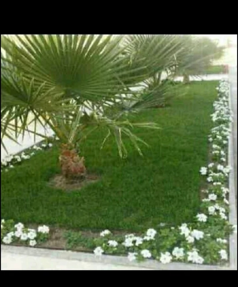 زراعة وتنسيق الحدائق  - 1