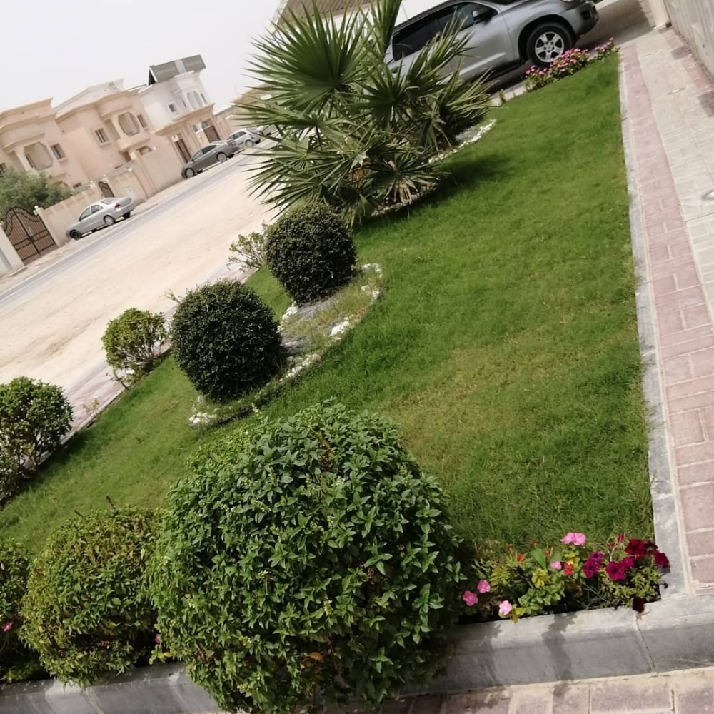 للزراعة المنزلية - 1