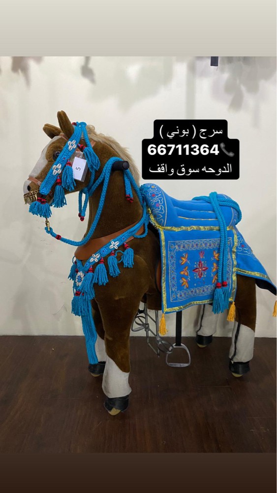 سروج بوني اا - 2