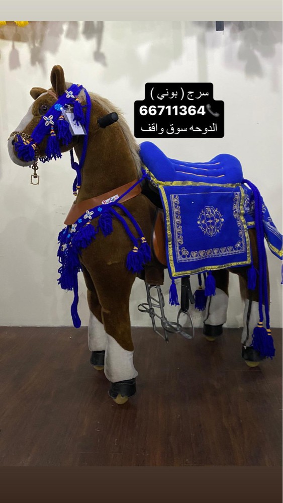 سروج بوني اا - 4