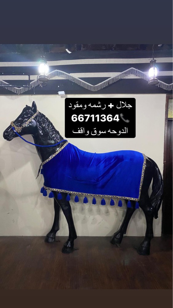 للبيع اجله زينه للخيول - 2