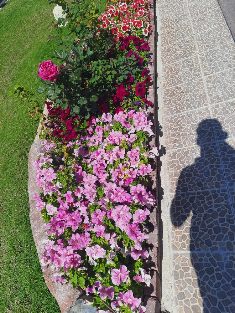 للزراعة - 3