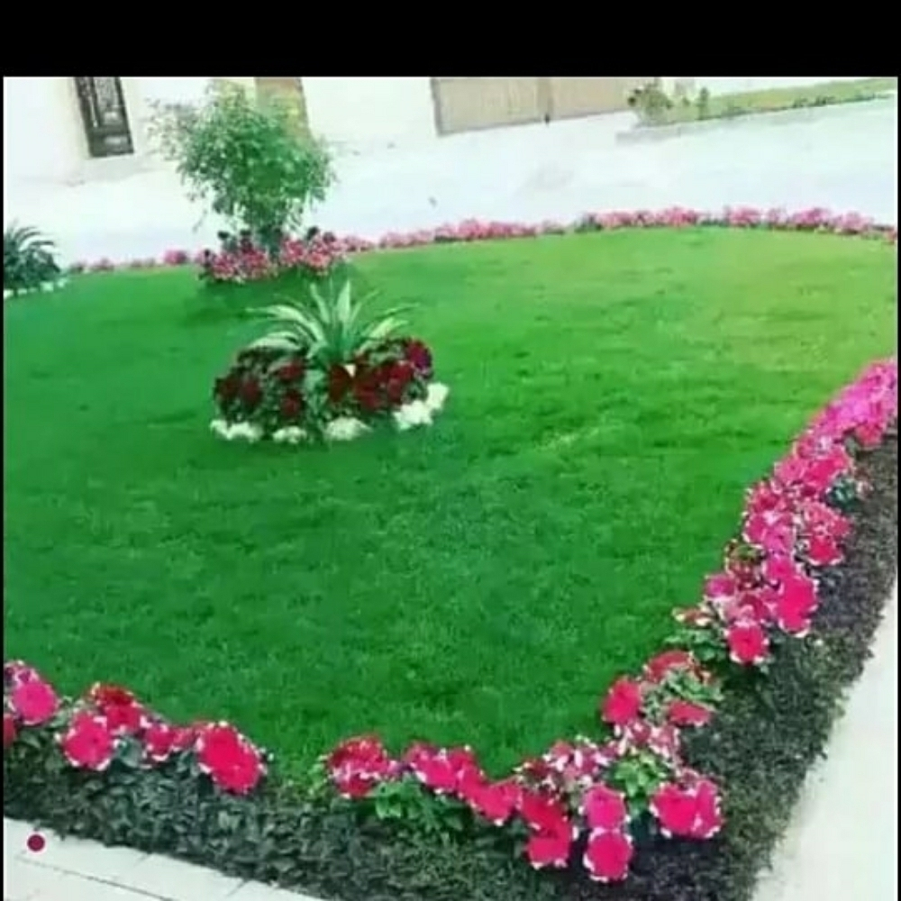 منسق ومصمم حدائق - 1