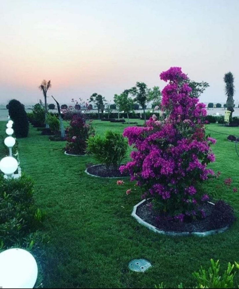 فن ترتيب الحدائق - 1