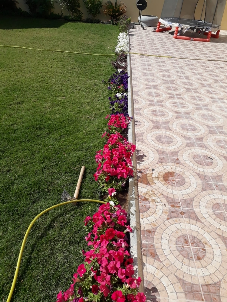 مصمم حدائق 55504810 - 7