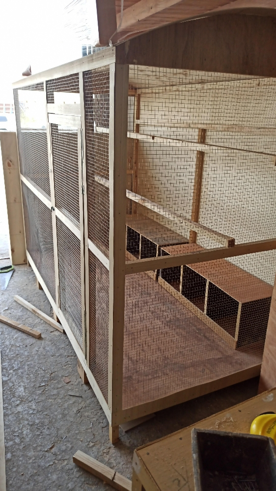 chicken house - 6