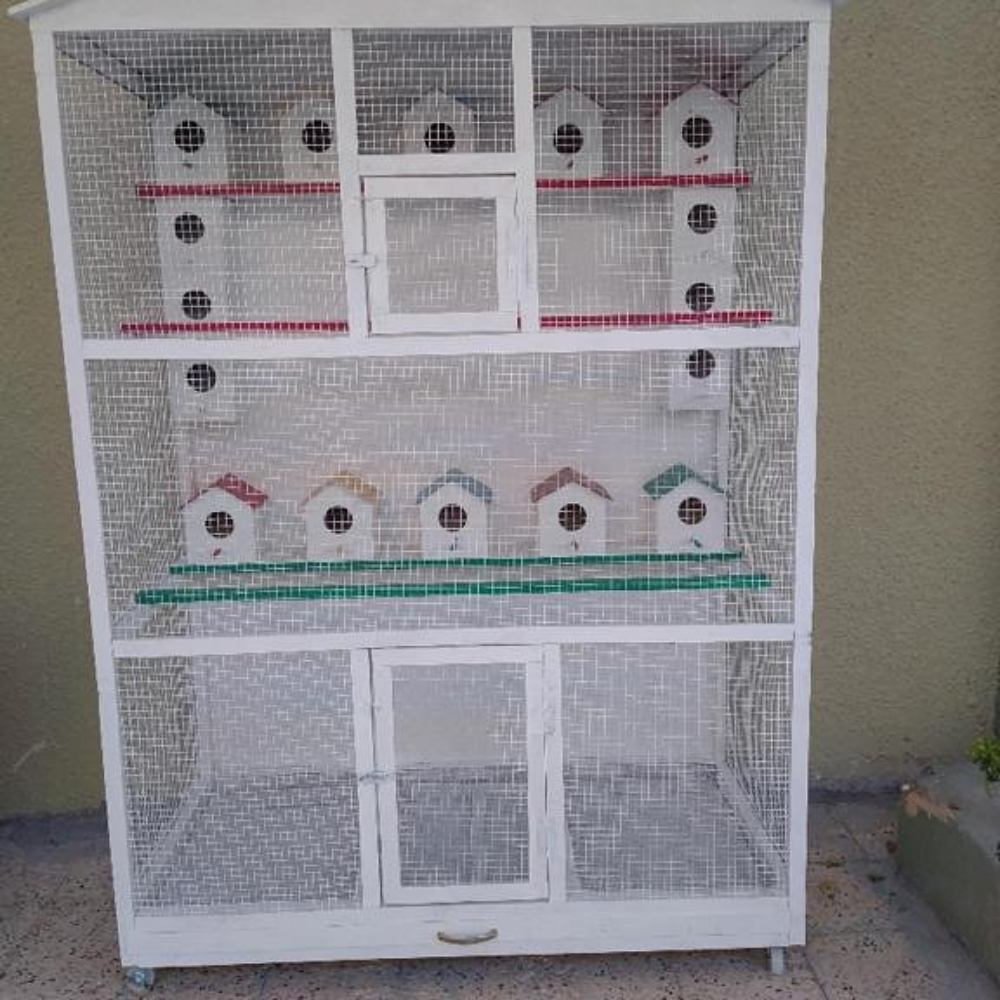 chicken house - 7