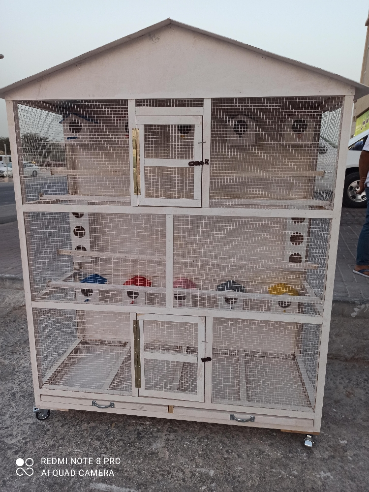 bird house - 5