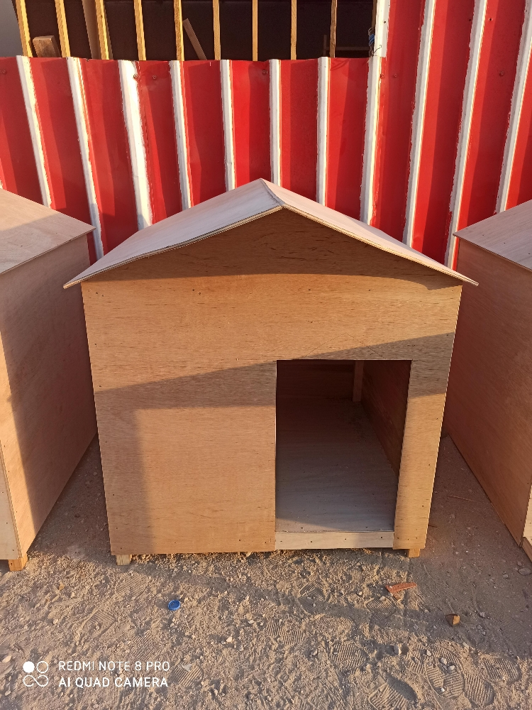 dog house - 10