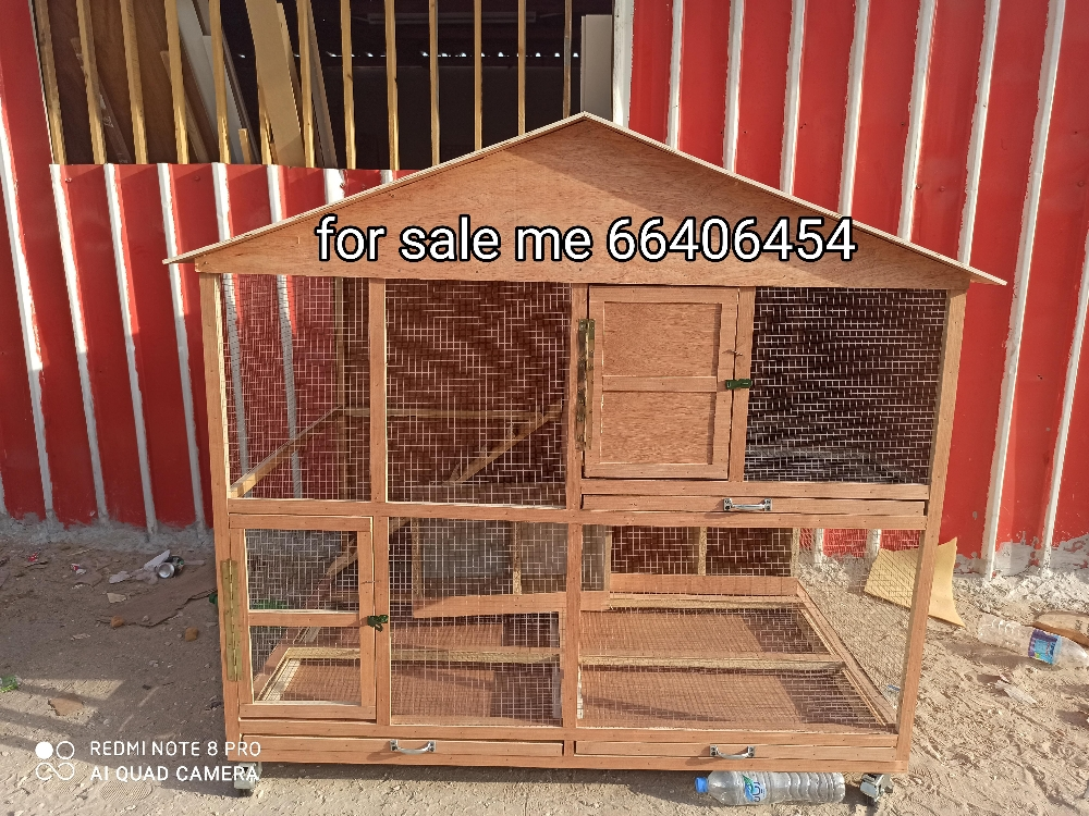 dog house - 3