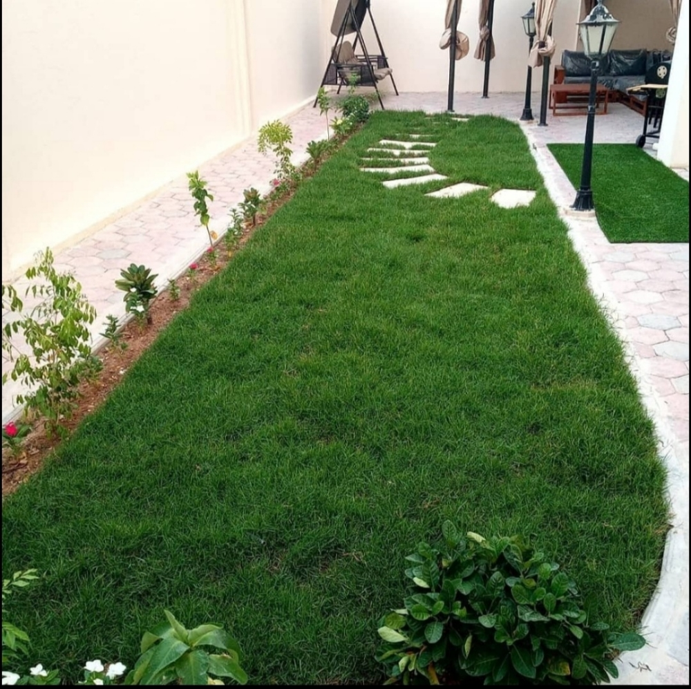 ‎‎‎‎‎‎‎حدائق - 2