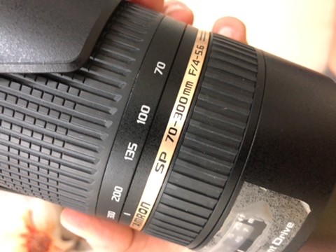 Tamrom sp 70-300mm F/4 -5.6 - 5
