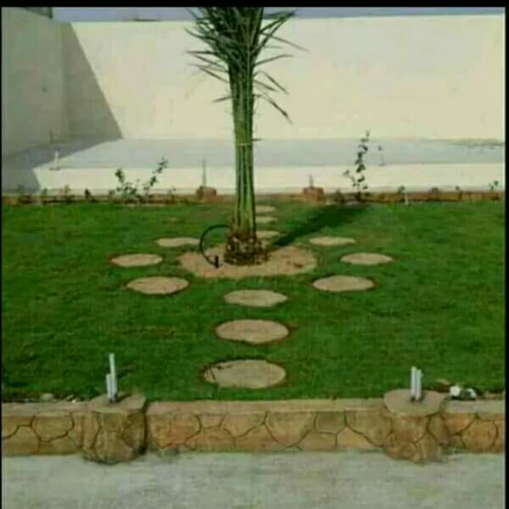 جزوع وضخور - 2