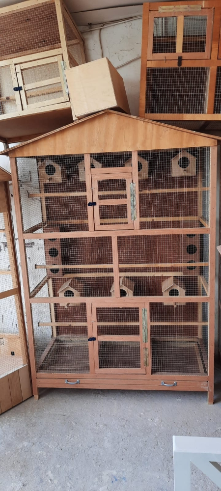 dog home - 5