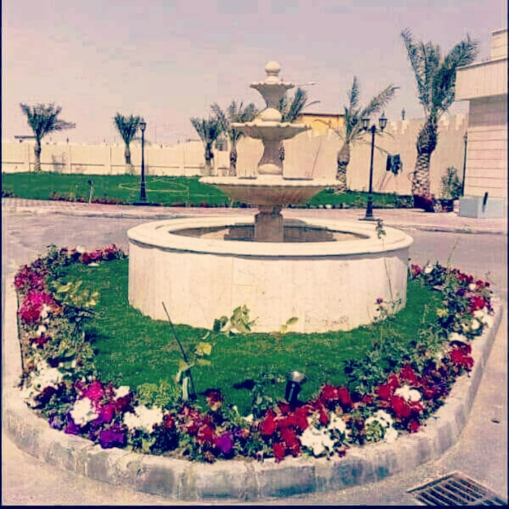 ابو احمد لأعمال الزراعه والديكور - 8