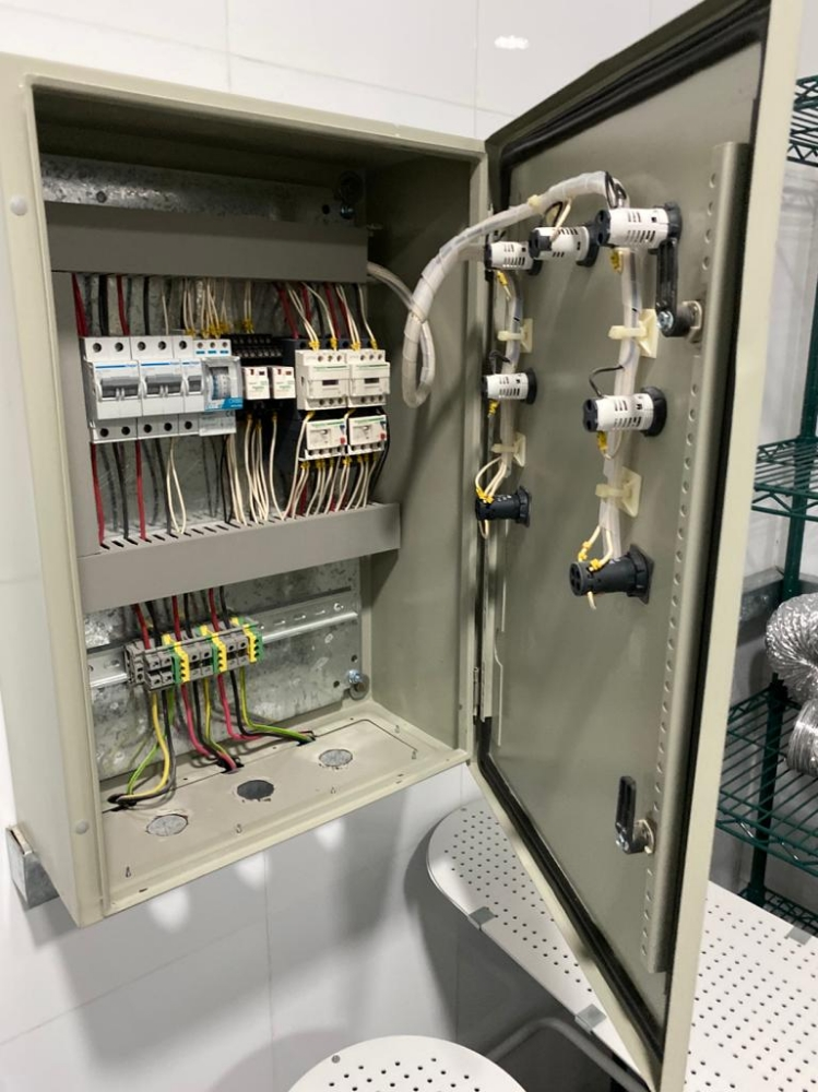 ELECTRICITY NETWORK - 2