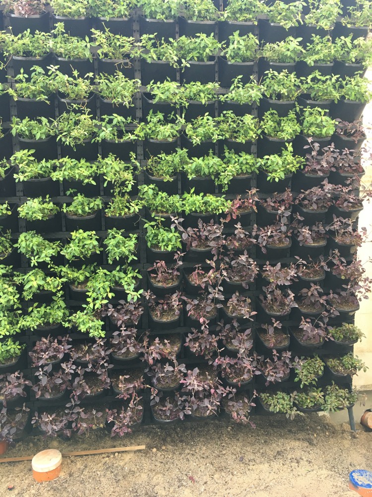landscaping &irrigation networks - 6