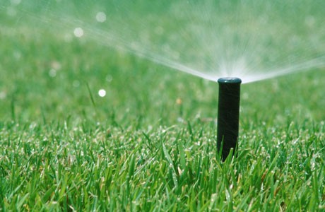 landscaping &irrigation networks - 3