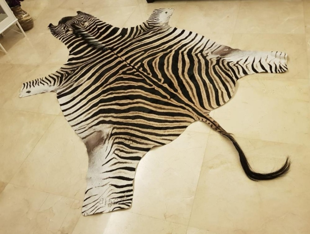 ZEBRA SKIN - 2