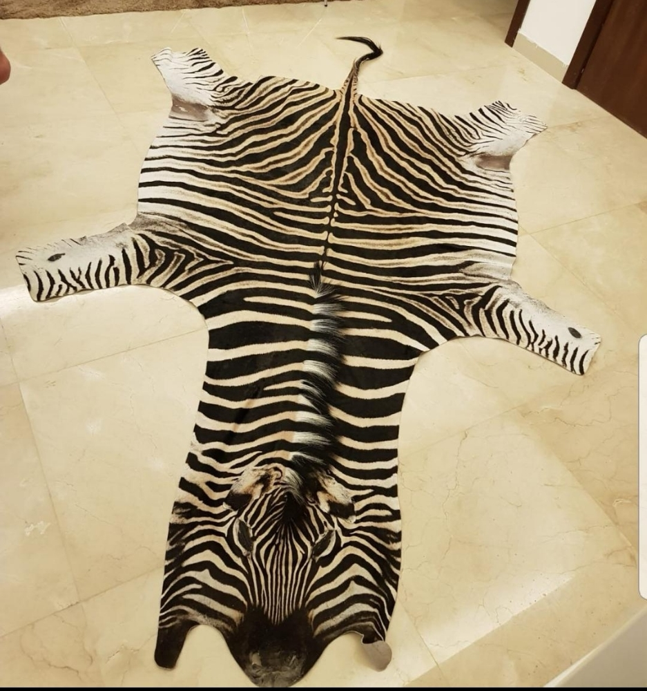 ZEBRA SKIN - 1