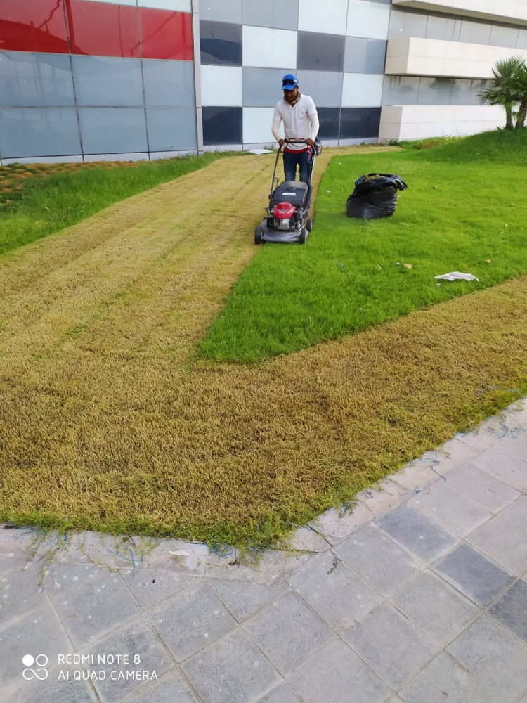 Garden maintenance - 12