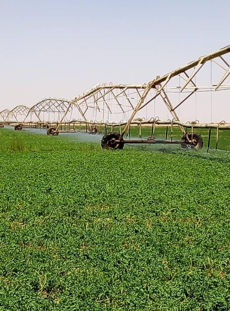 Forages trader  Required - 4