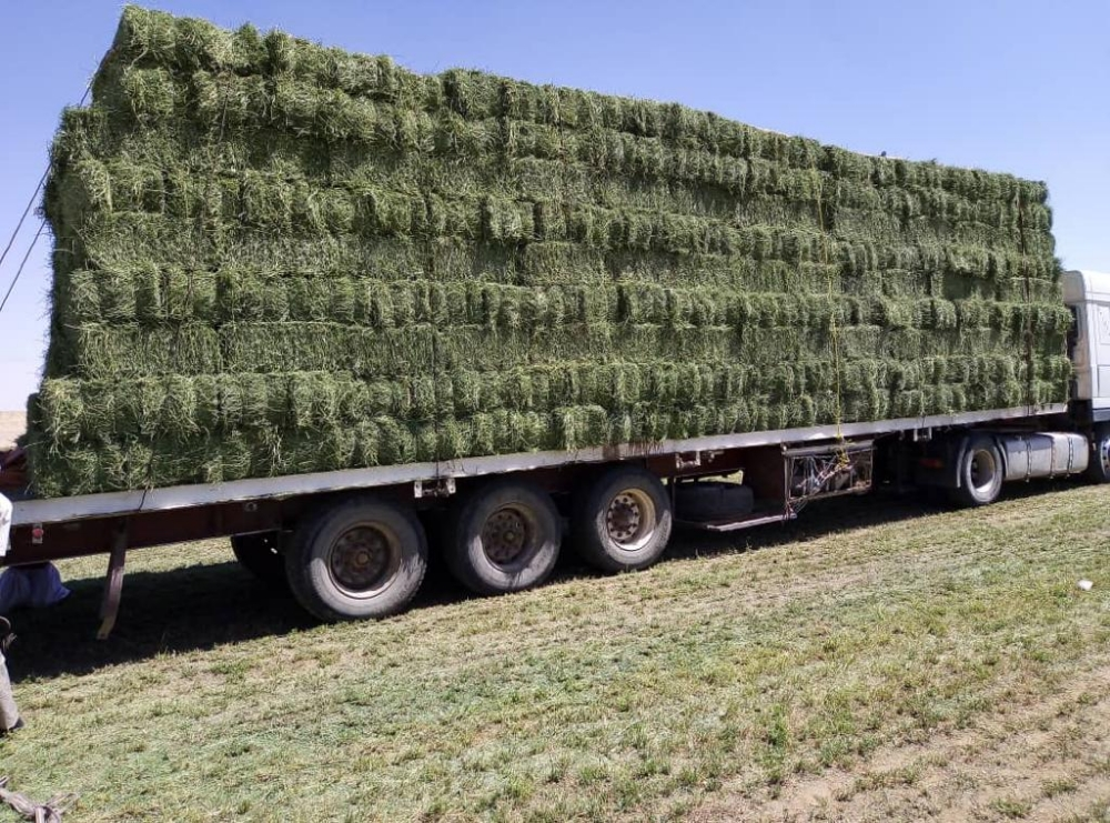 Forages trader  Required - 2