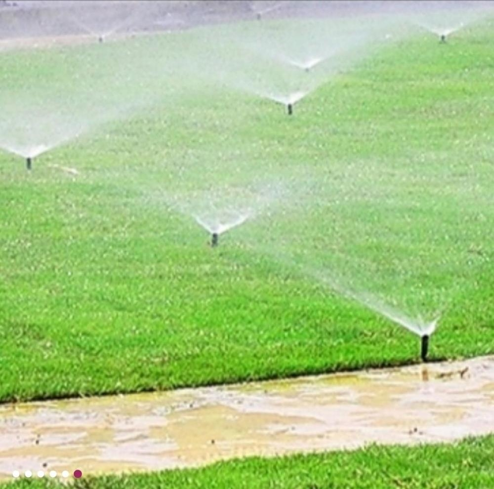 Natural Grass& Irrigation Network - 3
