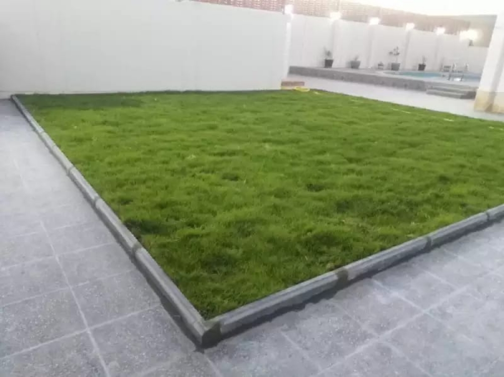 Garden maintenance - 15