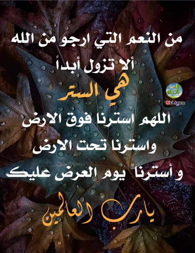 سائق خبرة ابحث عن عمل مناسب - 1