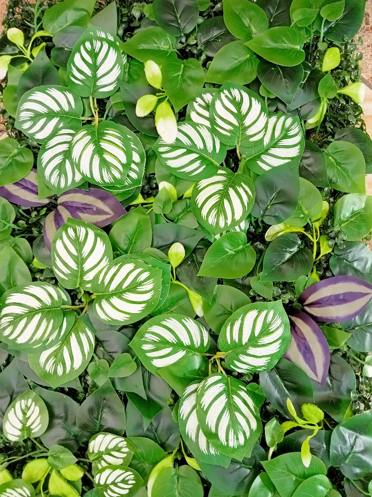100*1000 wall Decorations leaves - 7