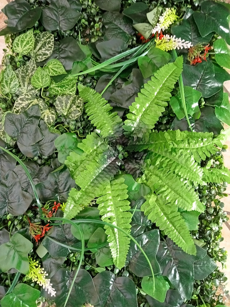 100*1000 wall Decorations leaves - 9